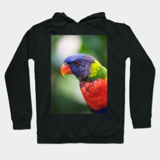 Parrot Hoodie